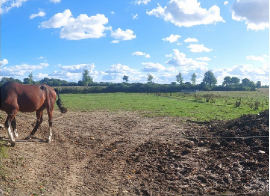 Ruhe mit weitem Wiesenblick — Area Autocaravanas in Freienwill