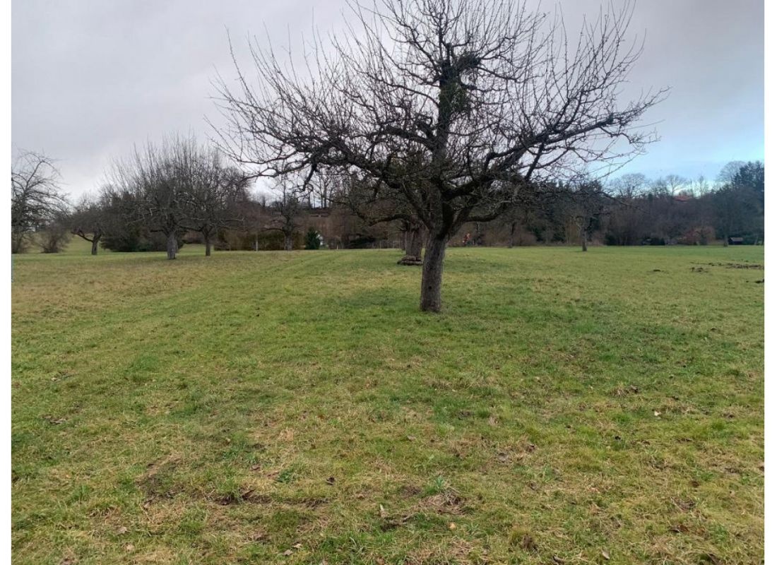 Obstwiese im Breitenbachtal — Karavan Sitesi in Reutlingen