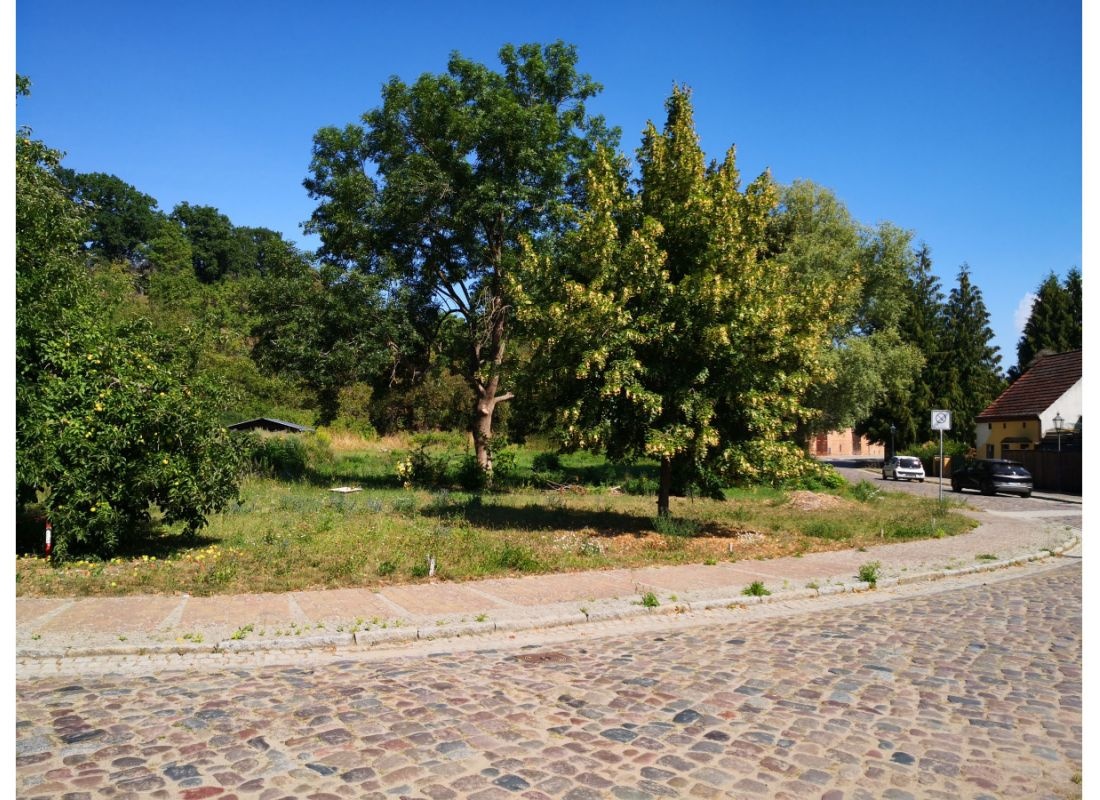 Einzelstellplatz in der historischen Altstadt — Karavan Sitesi in Oderberg
