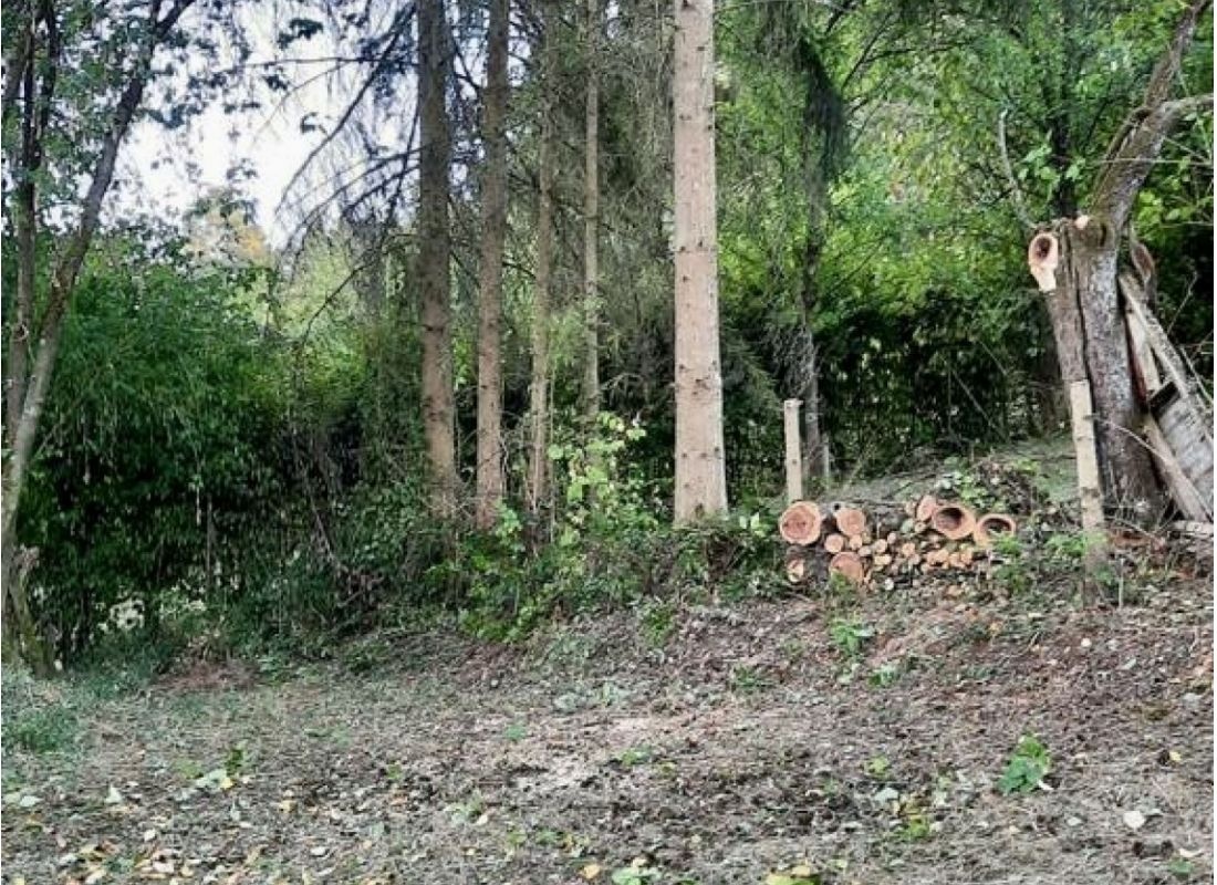 Mit Blick auf die Weinberge — Sp. parking dla kamperów in Winterhausen
