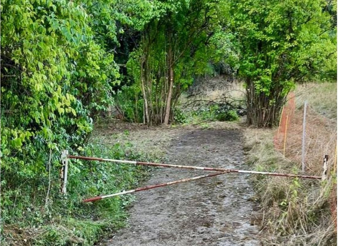 Mit Blick auf die Weinberge — Karavan Sitesi in Winterhausen