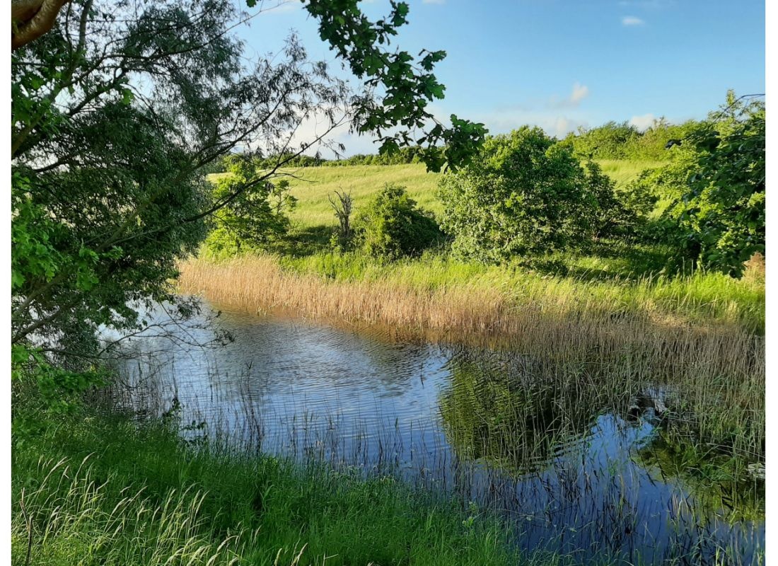 stellplätze in idyllischer alleinlage & kultur #2 + — Ställplats in Gielow
