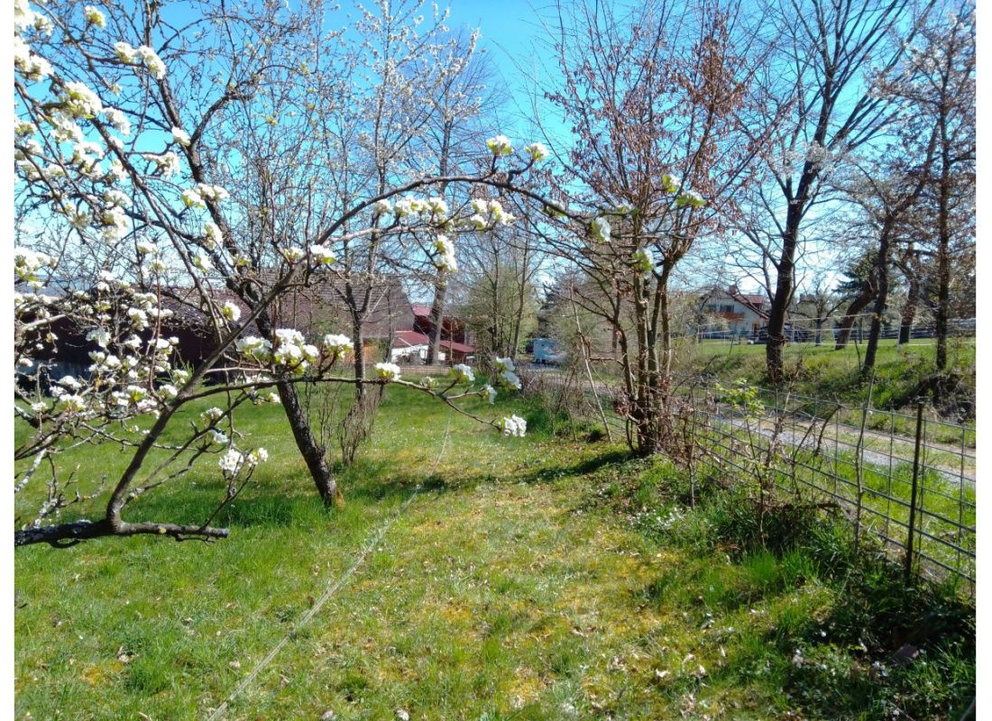 Einzelstellplatz an der mongolischen Yurte — 露营车营地 in Marktheidenfeld