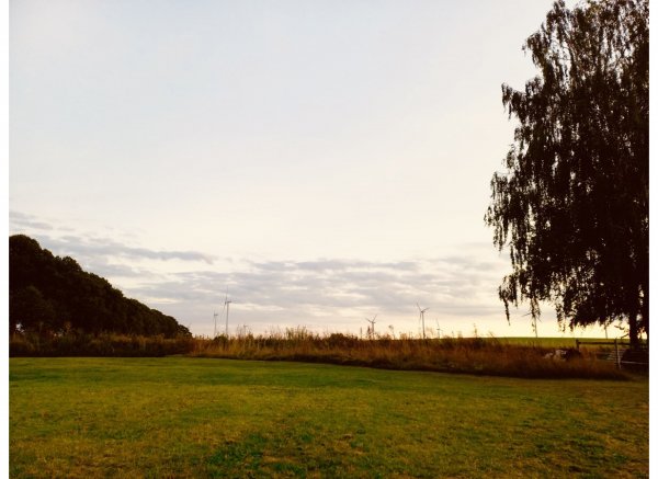 Wiese am Hellbachtall — Photo 2