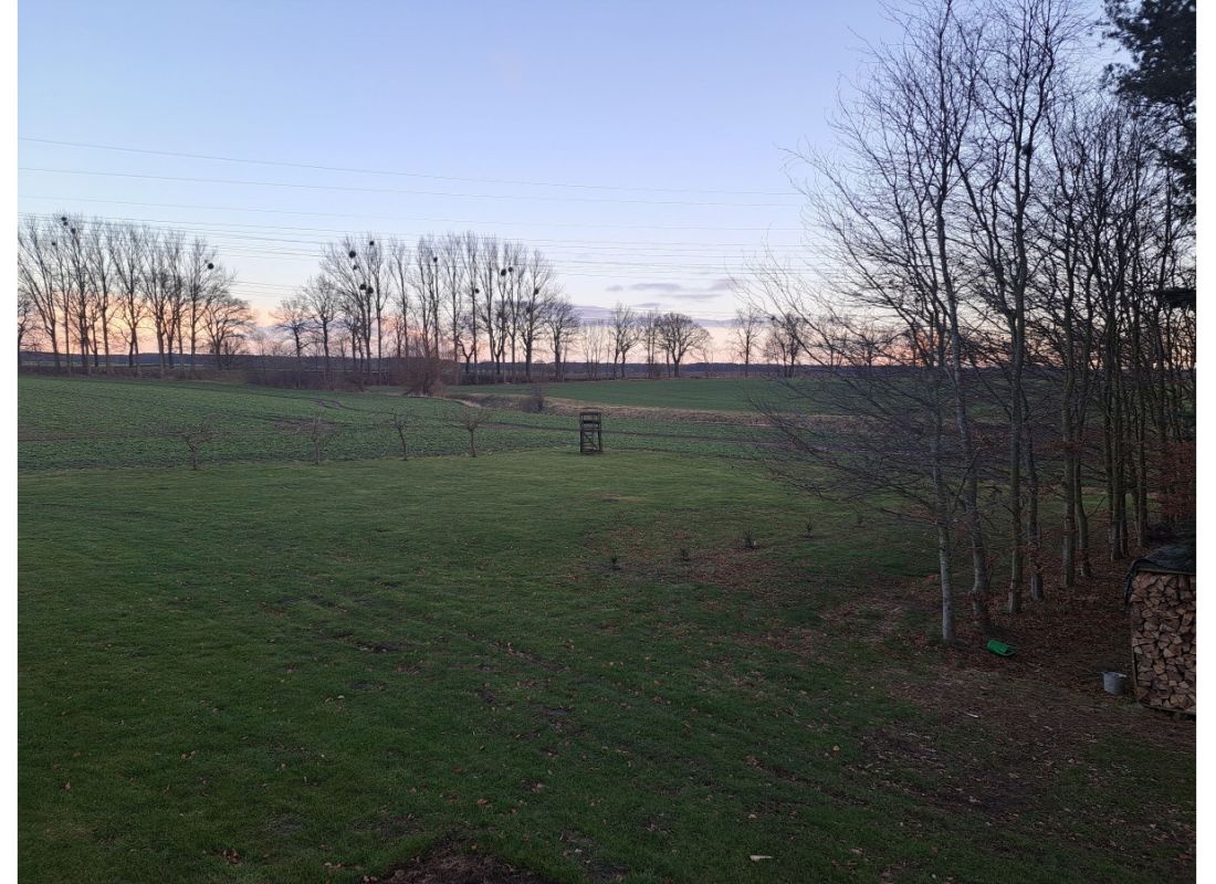 Natur pur, abseits der Hauptstraße und trotzdem zentral — Campervan Site in Jakobsdorf