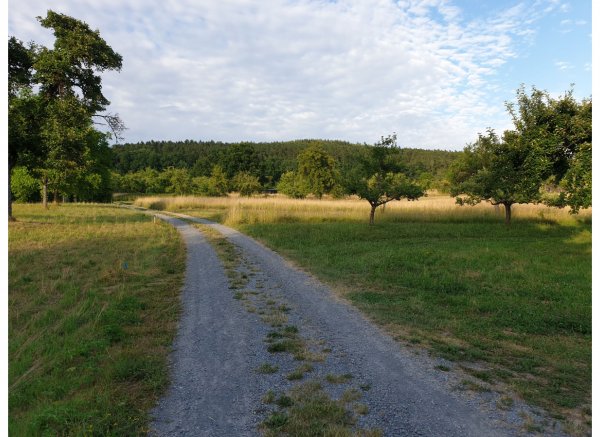 Bio-Baumland im Spessart nahe der Drei-Flüsse-Stadt Gemünden