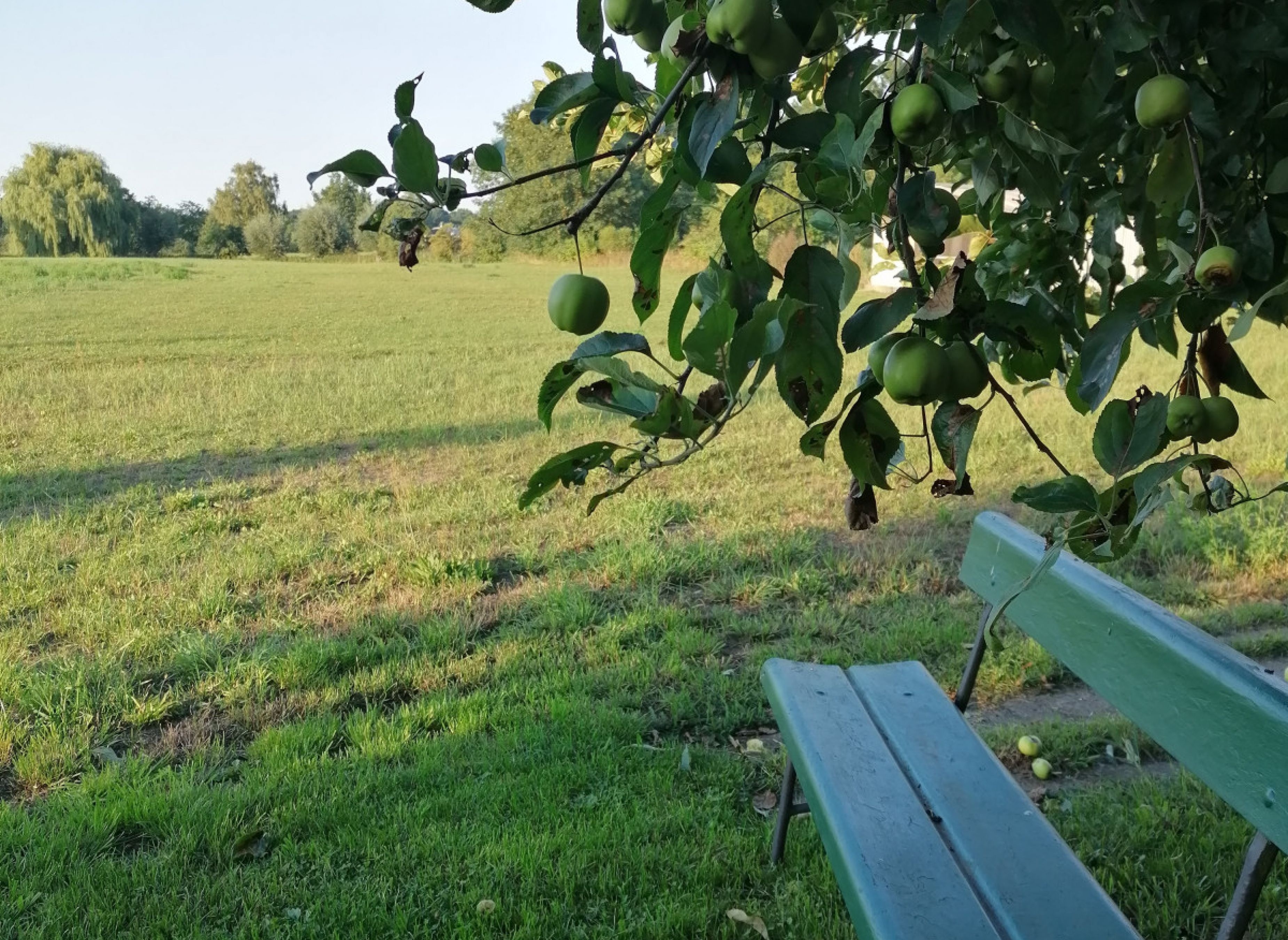 Stellplatz mit Weitblick im Grünen — Stellplatz in Lärz