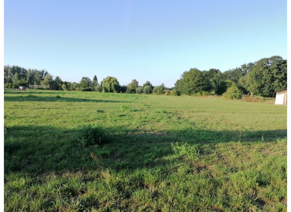 Stellplatz mit Weitblick im Grünen — Photo 2