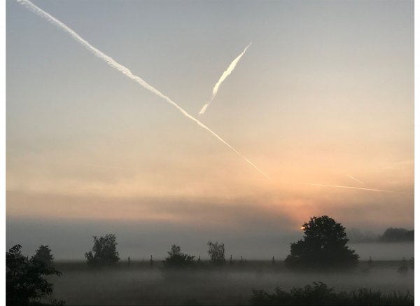 Einzelstellplatz im idyllischen Beuna — Fotoğraf 3