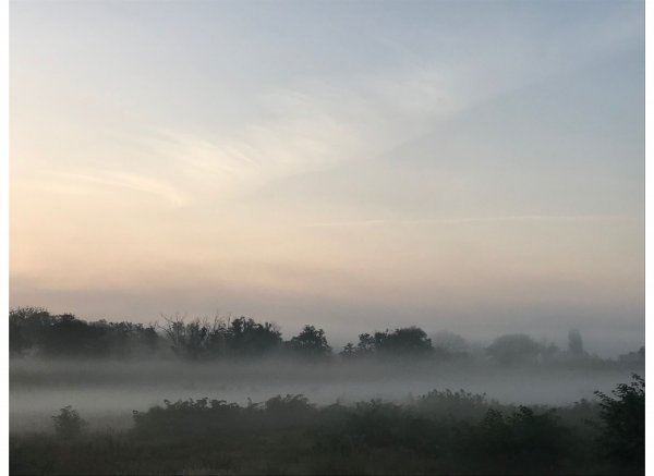 Einzelstellplatz im idyllischen Beuna — Photo 2