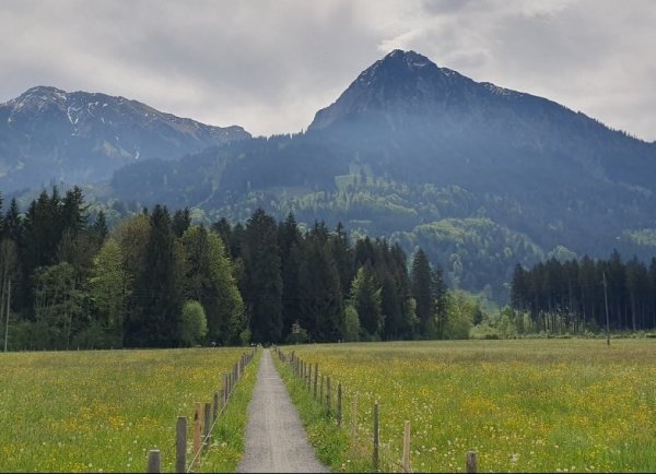 Stellplatz Fischen im Allgäu — Foto 3