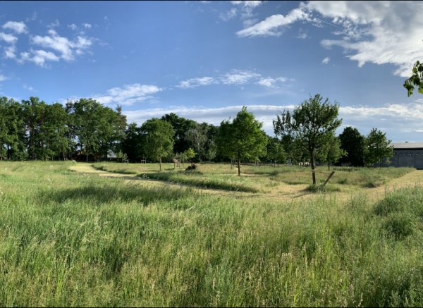 Wunderschöne Auszeit am Rande des Spreewald — Photo 2