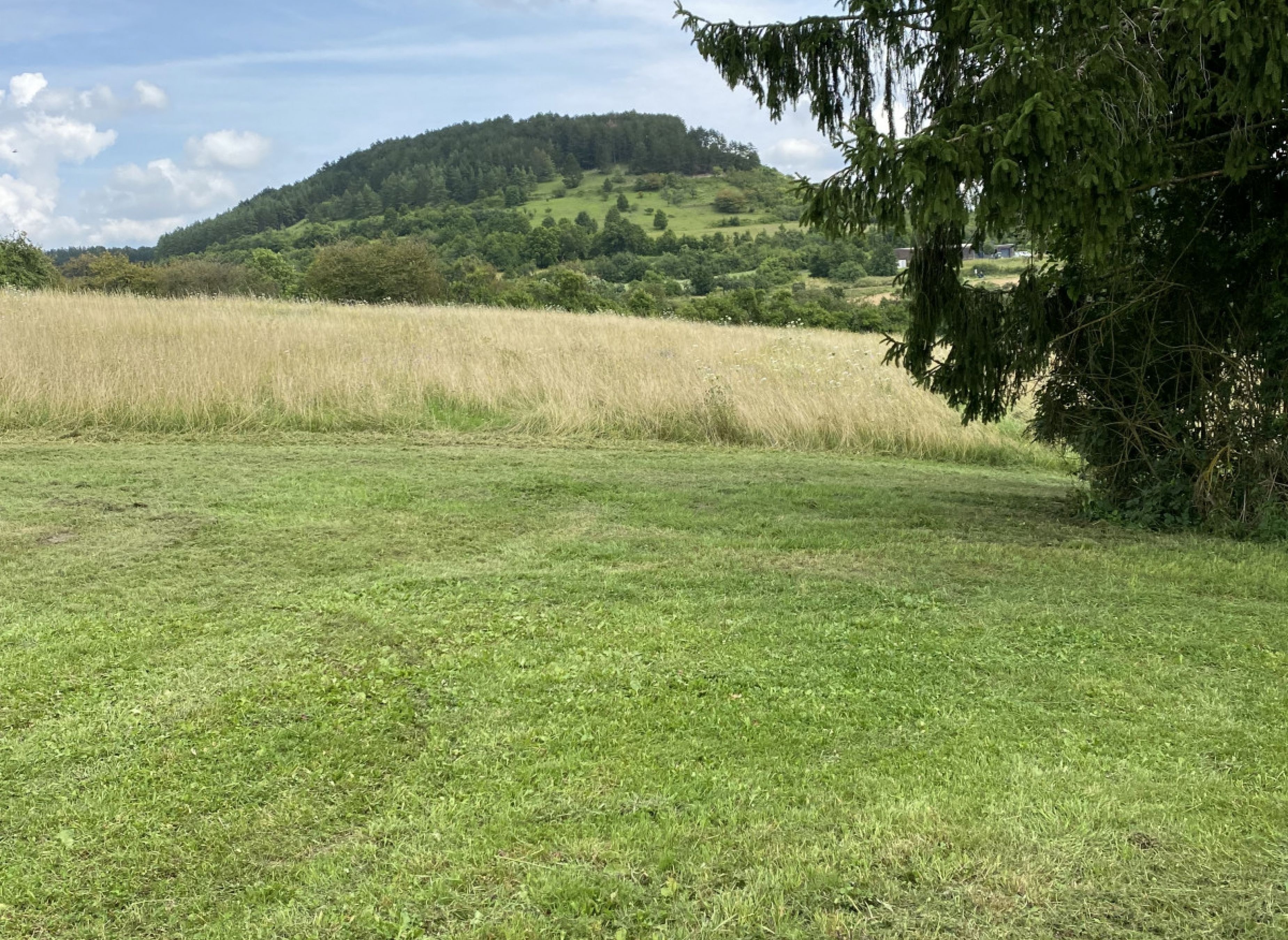 Stellplatz in der Natur mit tollem Ausblick #1 — Campervan Site in Hammelburg