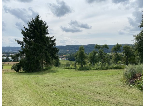 Stellplatz in der Natur mit tollem Ausblick #1 — Photo 3