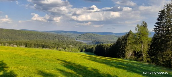 Panoramablick Viechzig — Photo 4