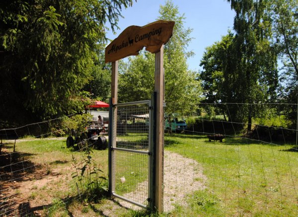 Auszeit bei den Waldgarten Alpakas #1 — Foto 3