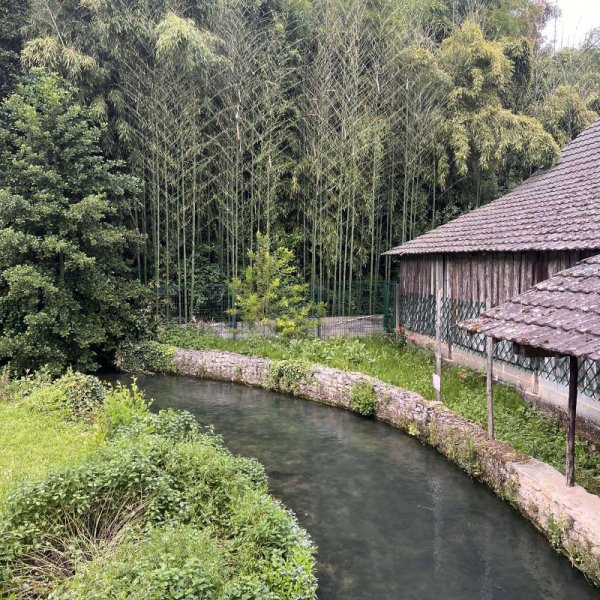 Stellplatz Le Bugue — Photo 3