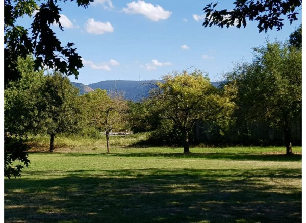 Zentral und trotzdem ruhig :-) — Photo 2