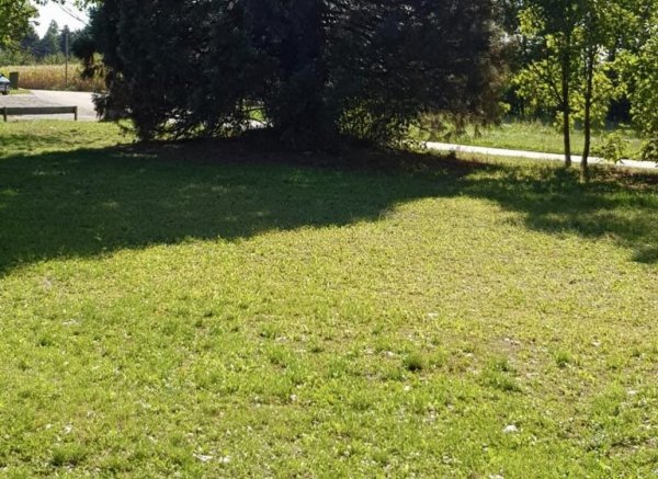 Zentral und trotzdem ruhig :-)