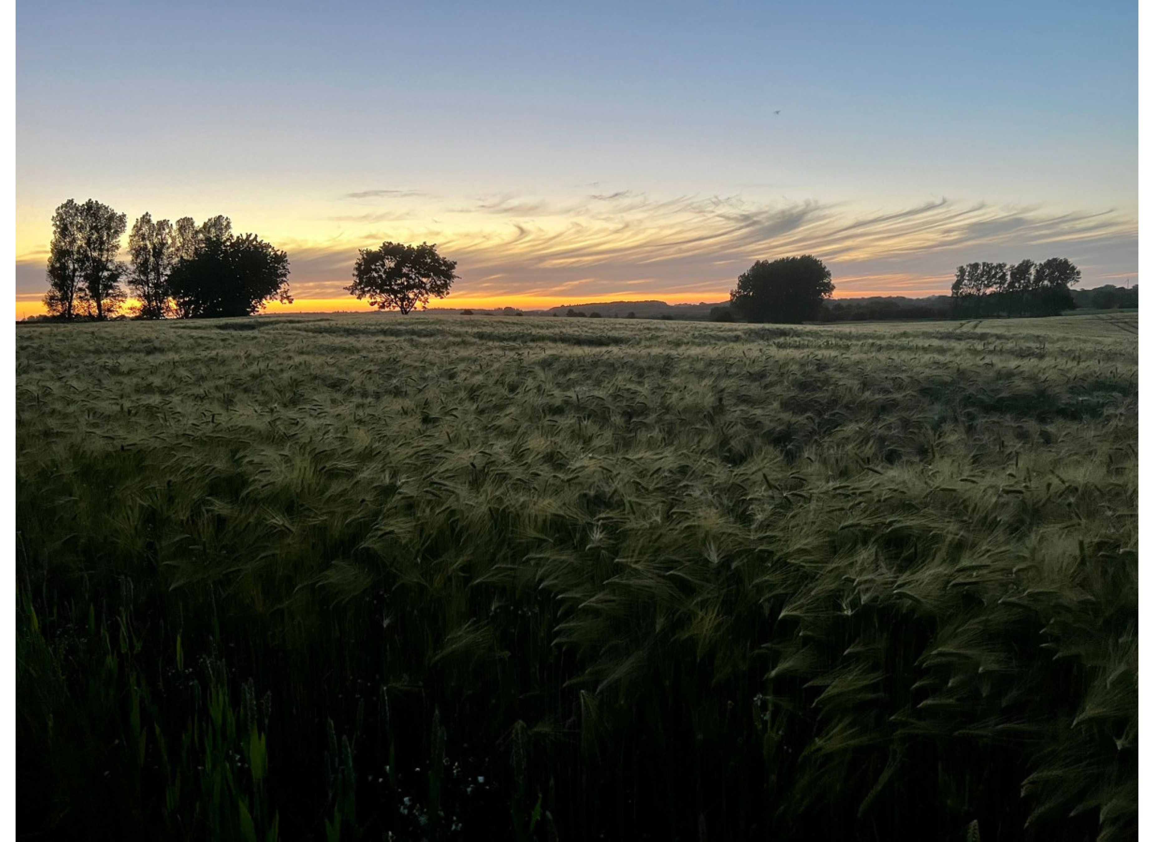 Herrlicher Weitblick in Marcanja #1 — Ställplats in Mittelangeln