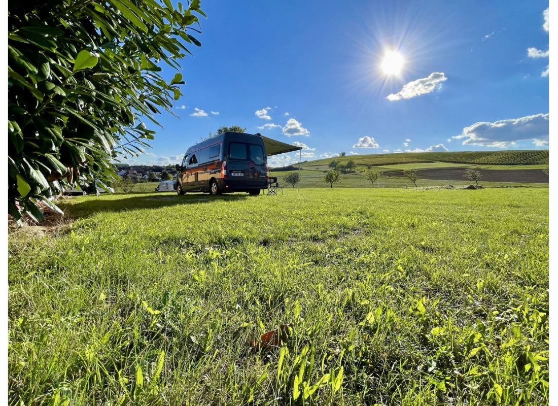 Camping am Weinkeller — Vintillverkare in Sommerloch