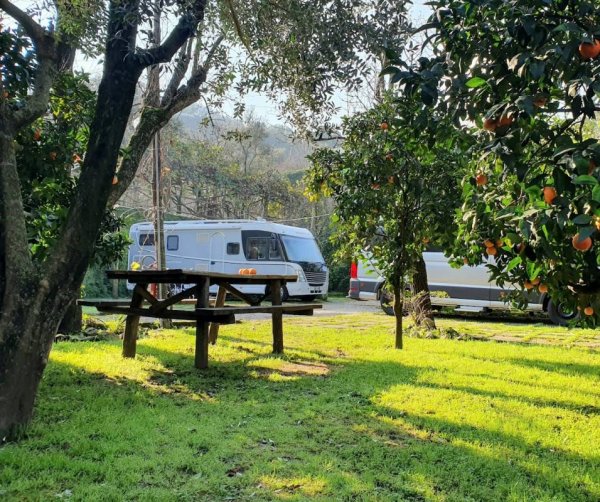 Oase di Verde — Photo 2