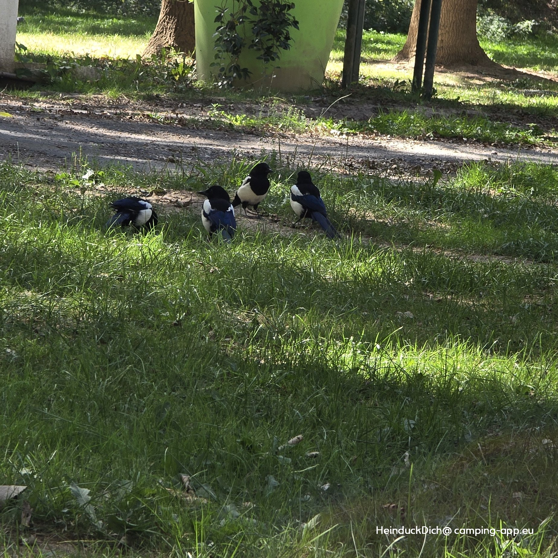 Stellplatz Marmande — Photo 2