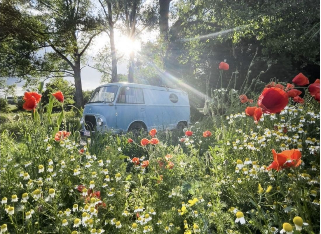 pumpstation allerwiesen — Karavan Sitesi in Ummendorf