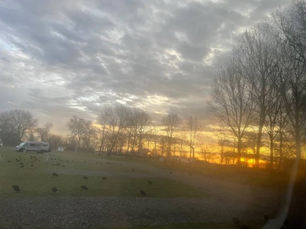 Camperpark Nijkerk aan Zee — Photo 3