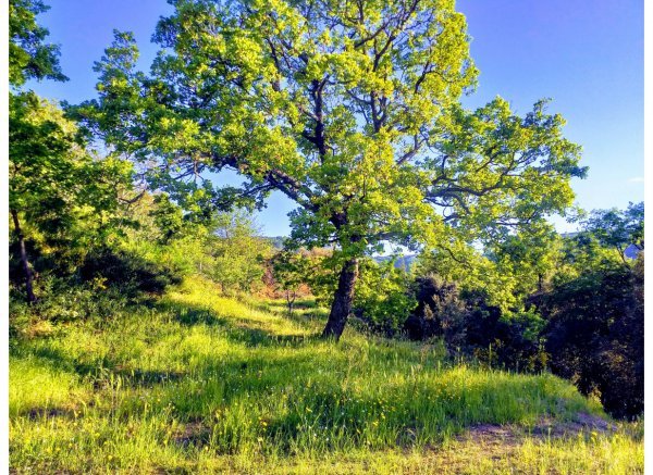 Piazzola Sosta nella Corte — Photo 2