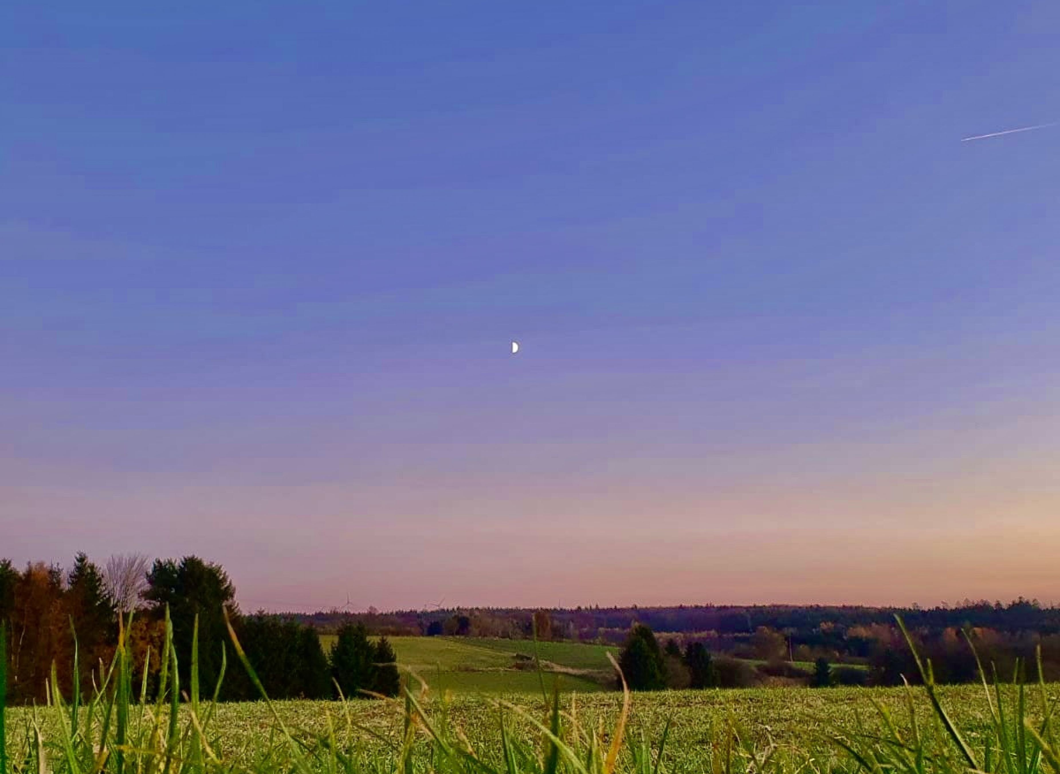 Hunsrück's Geheimtipp #3 — Ställplats in Liebshausen