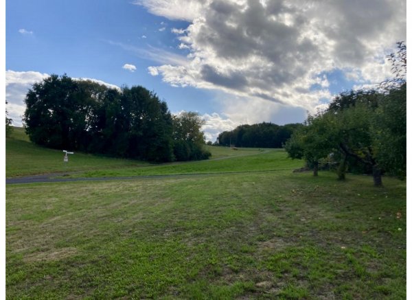 Einzelstellplatz in Freigericht Ortsrandlage mit Blick auf Wiesen und Äcker
