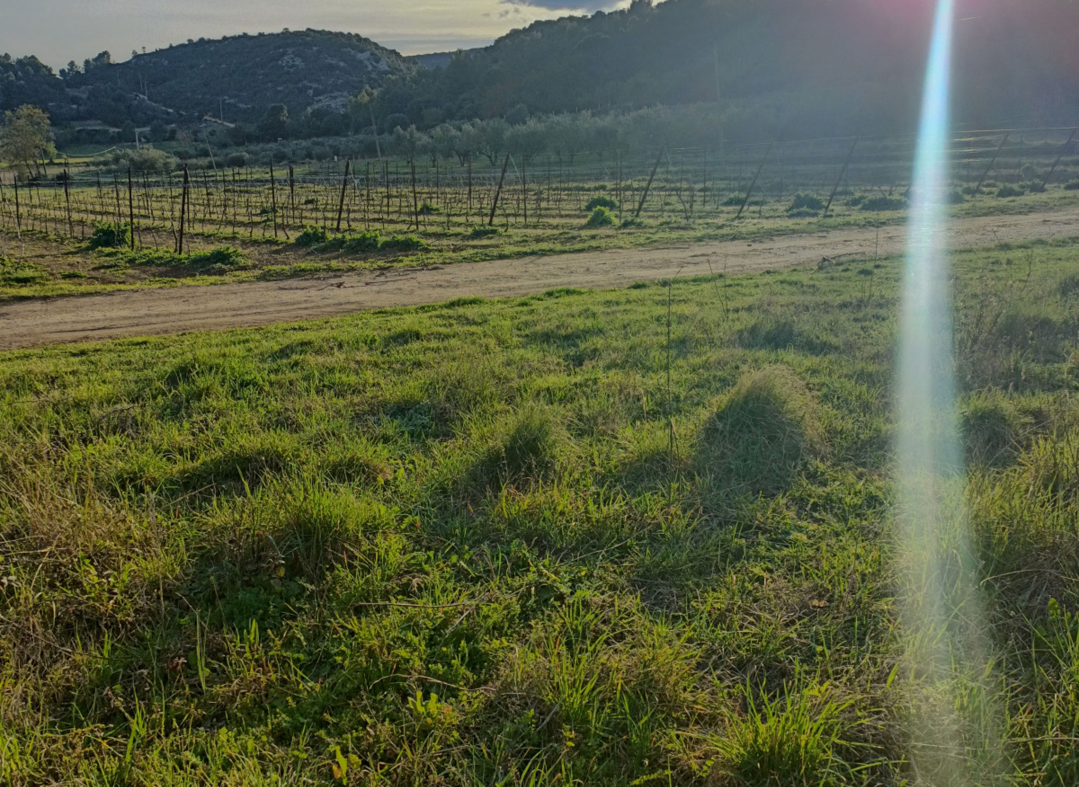 Entre vignes et oliviers #2 — Sp. parking dla kamperów in COMBAILLAUX