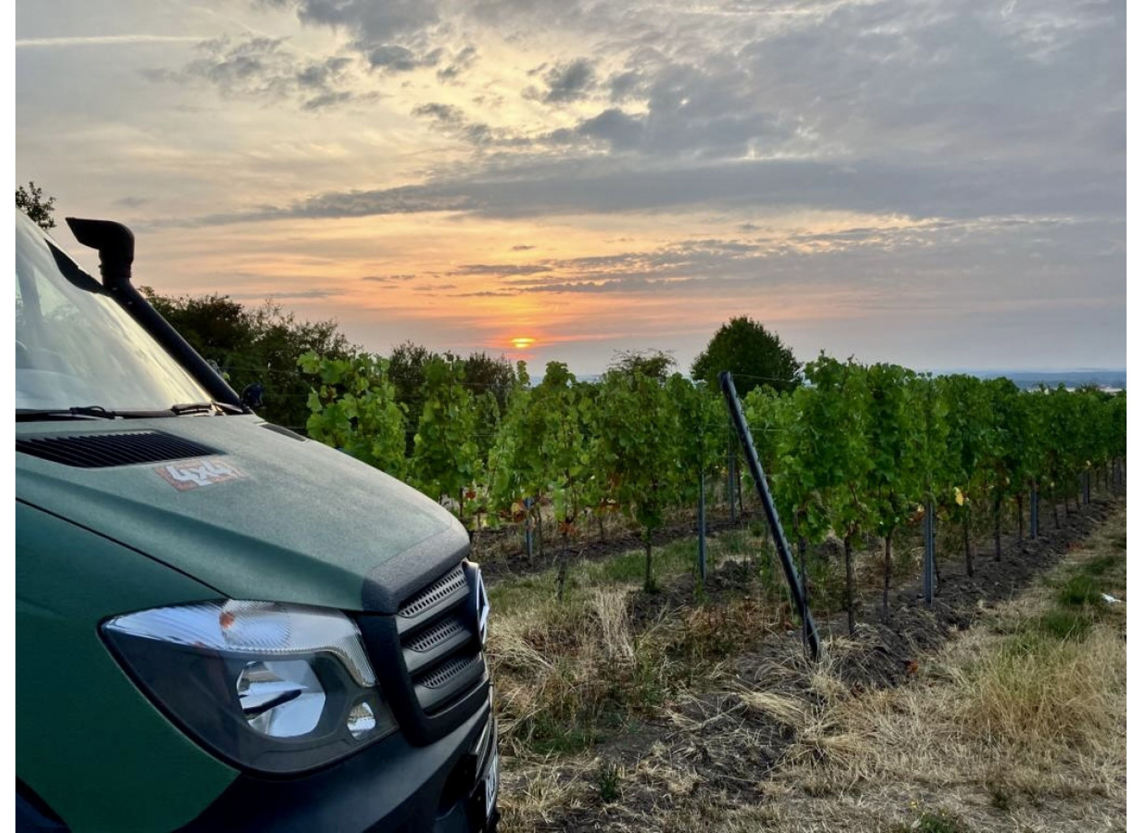 Im Weinberg mit Blick auf den Schwanberg #2 — Winery in Rödelsee