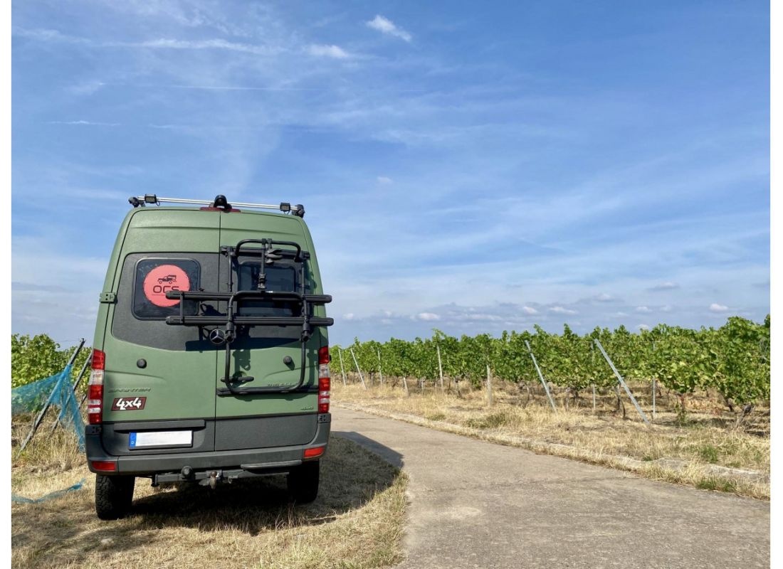 Im Weinberg mit Blick auf den Schwanberg #2 — Weingut in Rödelsee