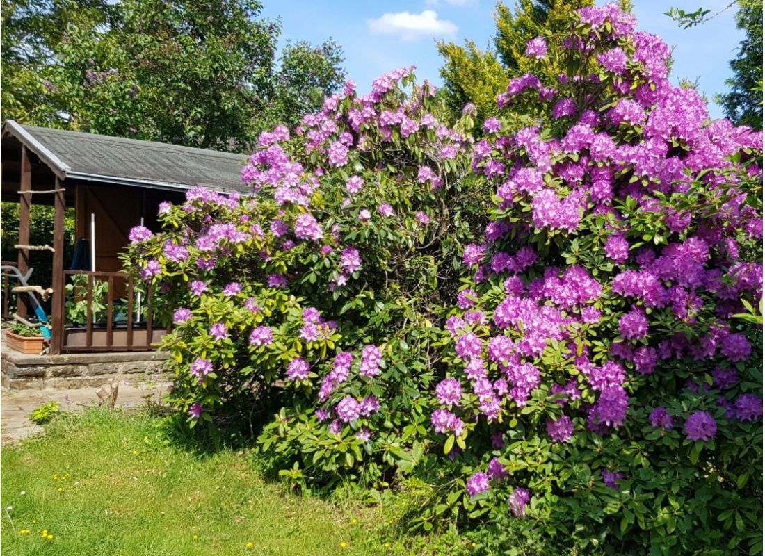schöner linker Niederrhein #2 — Stellplatz in Schwalmtal