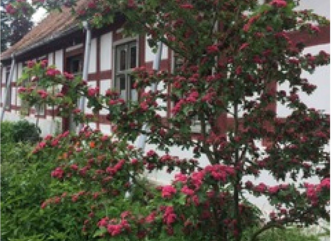 Stellplatz Am Alten Pfarrhaus — Campervan Site in Wenzlow