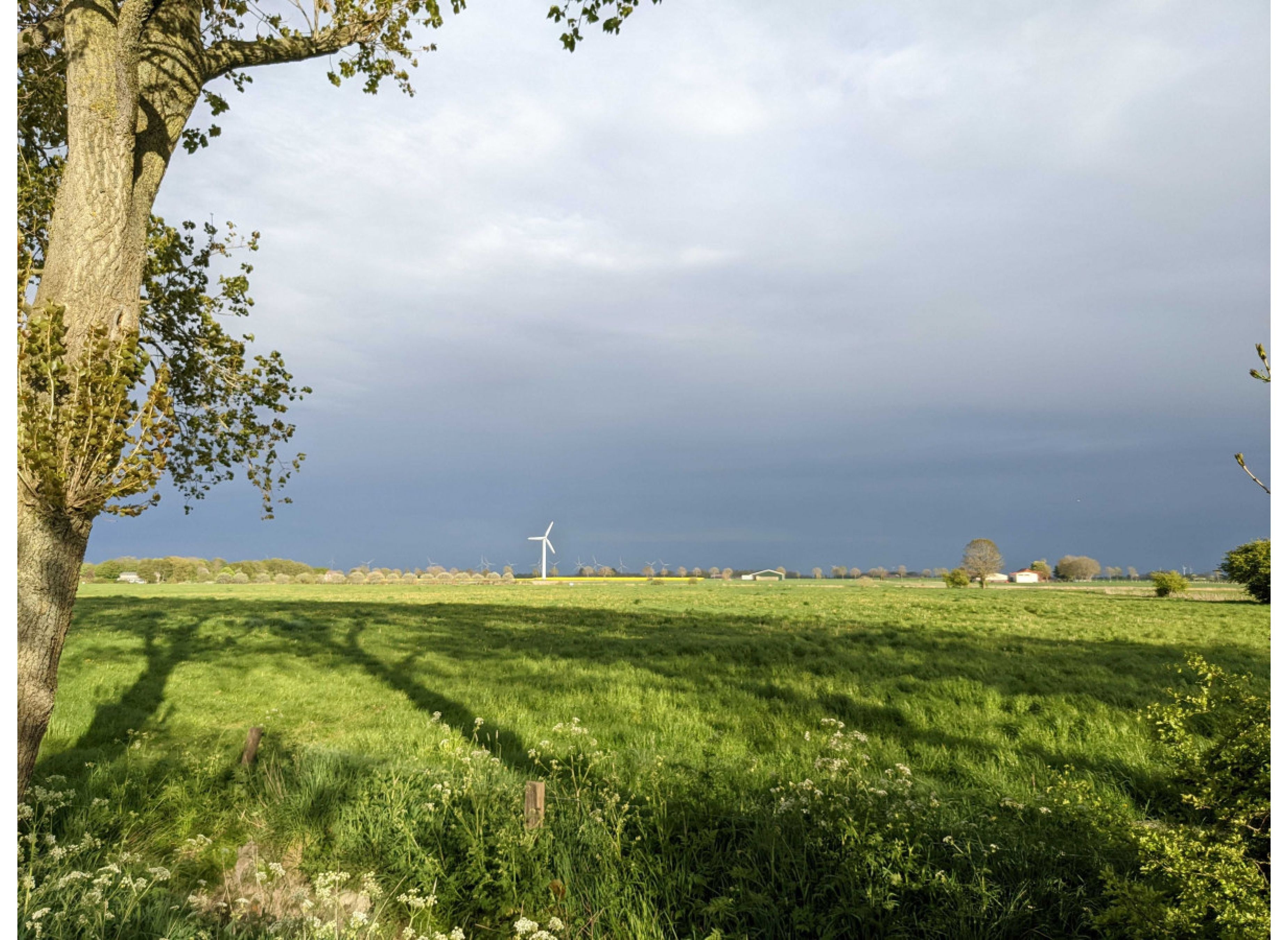 Camping an der Nordsee zwischen Greetsiel und Norden — Ställplats in Norden