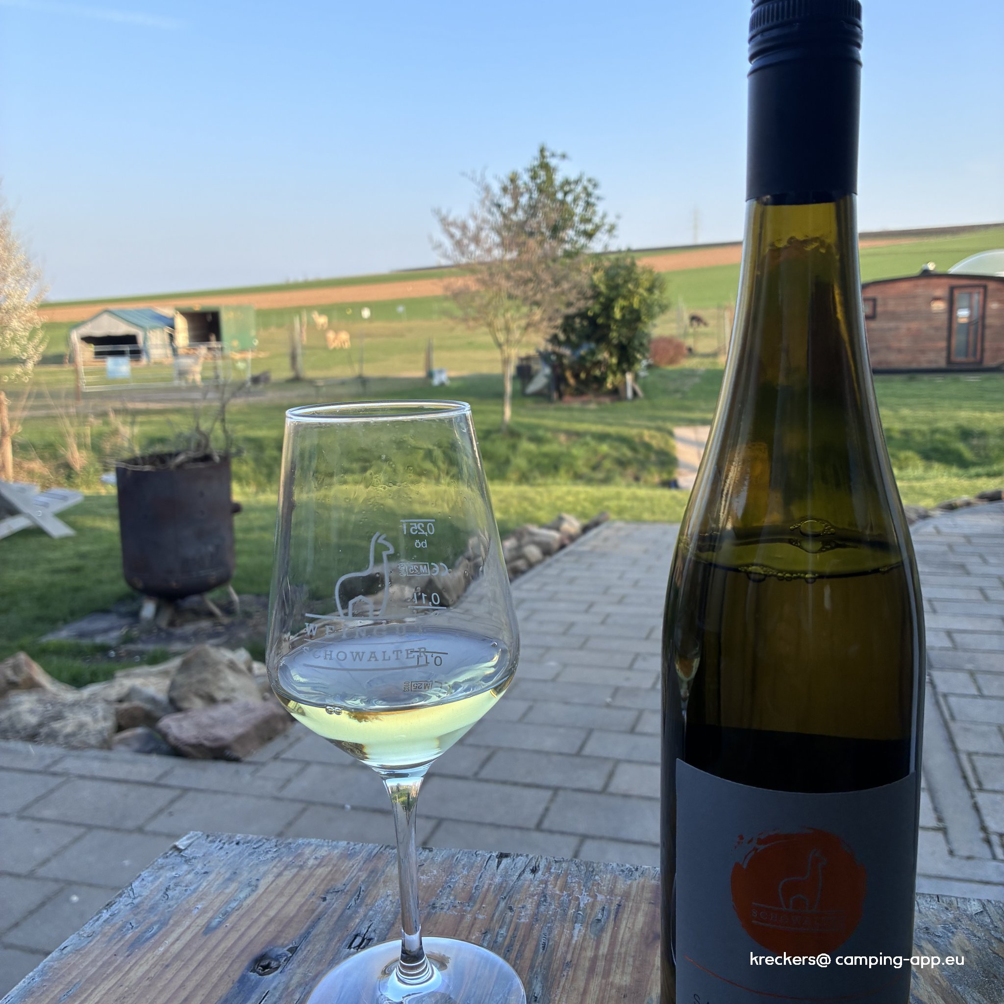 Weinhaus Schowalter — Photo 4