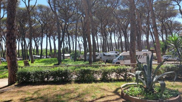 Camping Village Fabulous — Foto 4