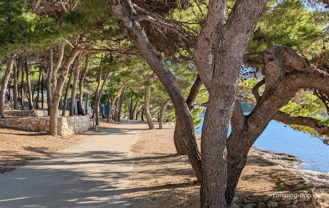 Kamp Slanica — Campingplass in Murter