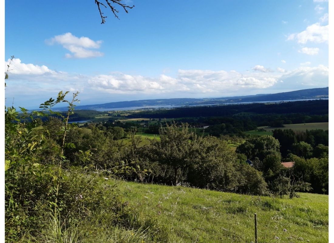 Stellplatz in idyllischer Lage — Campervan Site in Radolfzell am Bodensee
