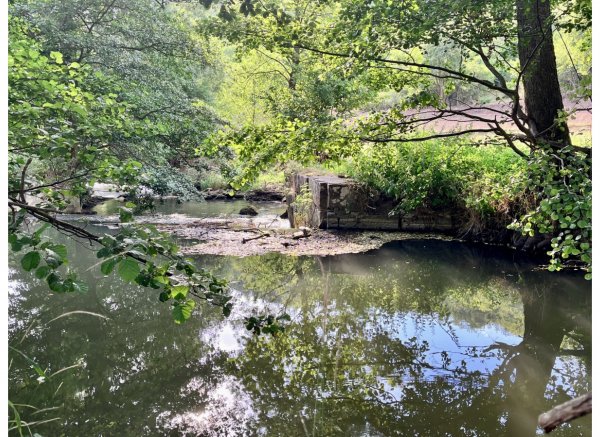 Idyllischer Wiesenstellplatz an der Wern direkt an einem Wasserfall — Photo 2