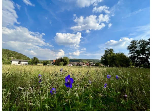 Idyllischer Wiesenstellplatz an der Wern direkt an einem Wasserfall