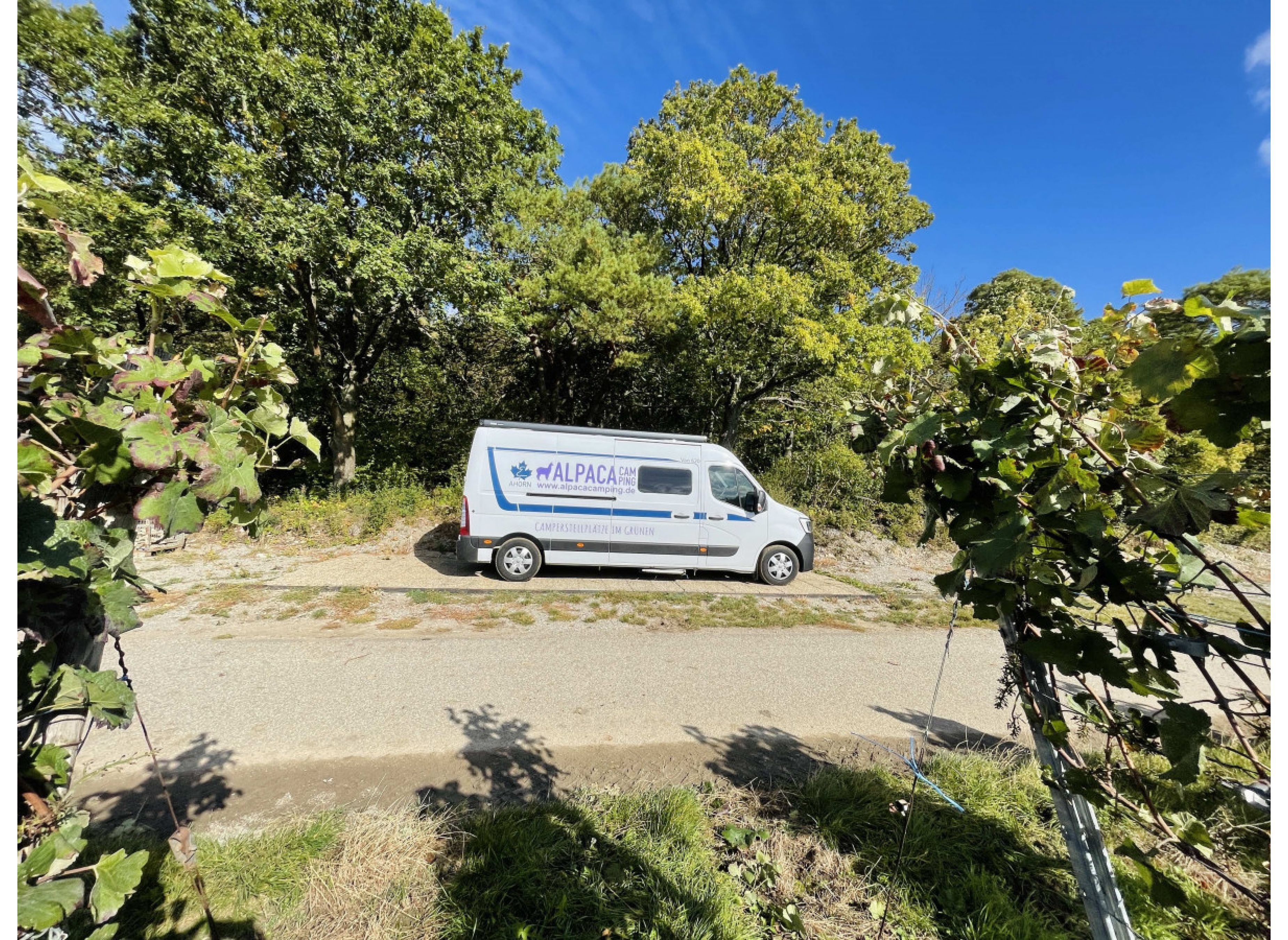 Einzelstellplatz direkt beim Winzer in Beckstein / Lauda - Königshofen — Bobilplass in Lauda-Königshofen
