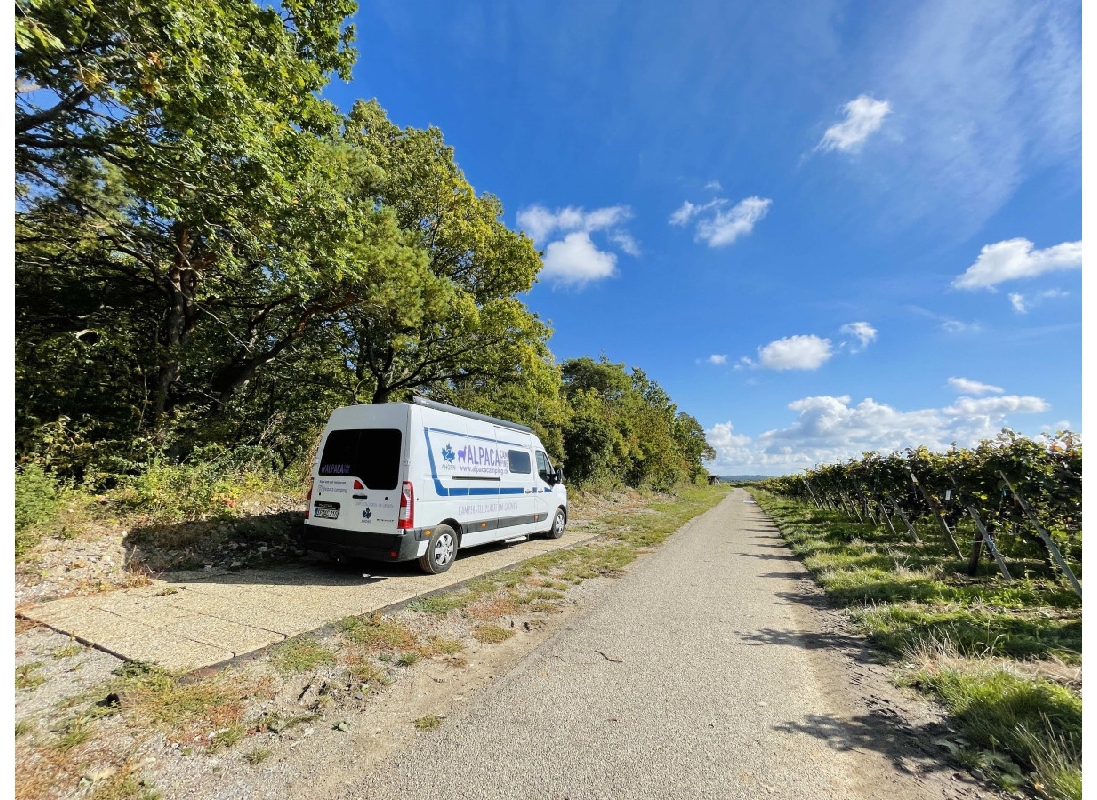 Einzelstellplatz direkt beim Winzer in Beckstein / Lauda - Königshofen — Stellplatz in Lauda-Königshofen