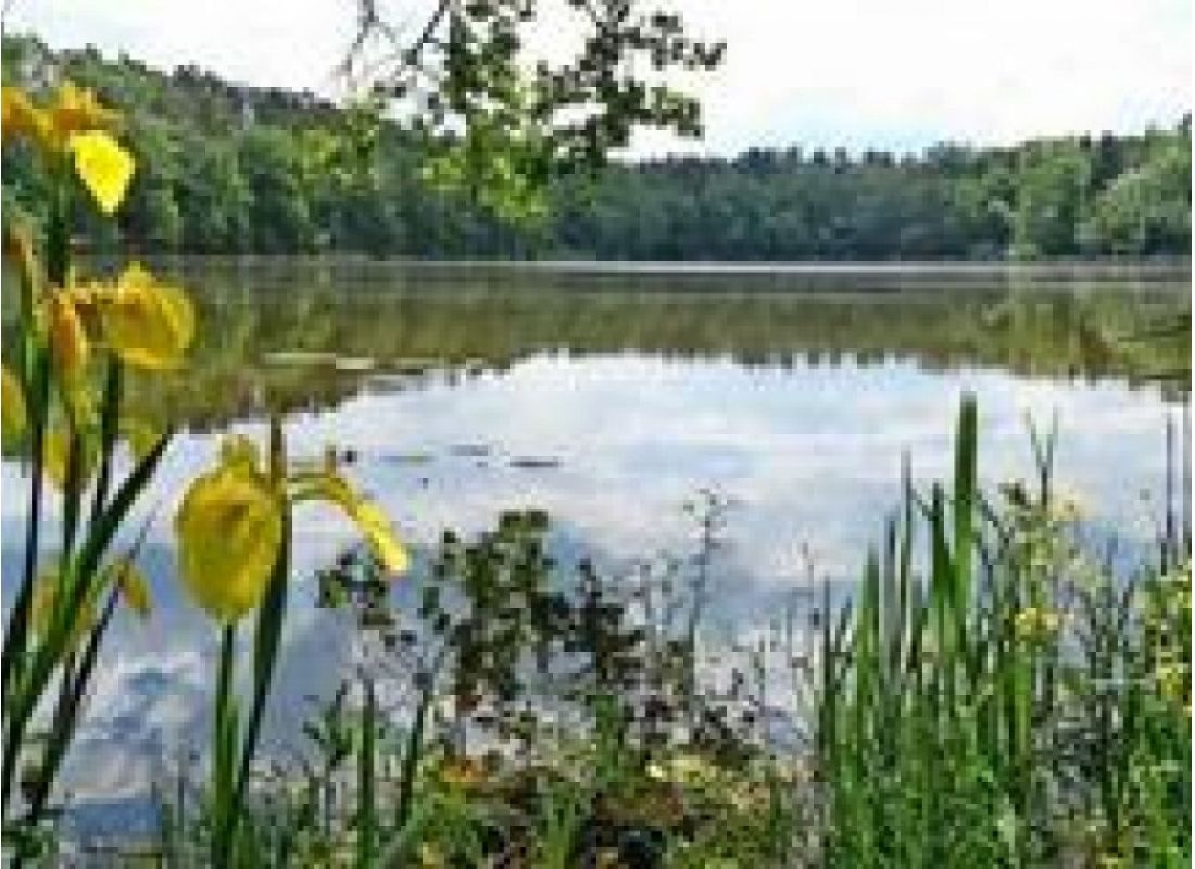 Inmitten des Naturparks Westhavelland (Wohnwagen zu vermieten) — 露营车营地 in Stechow-Ferchesar