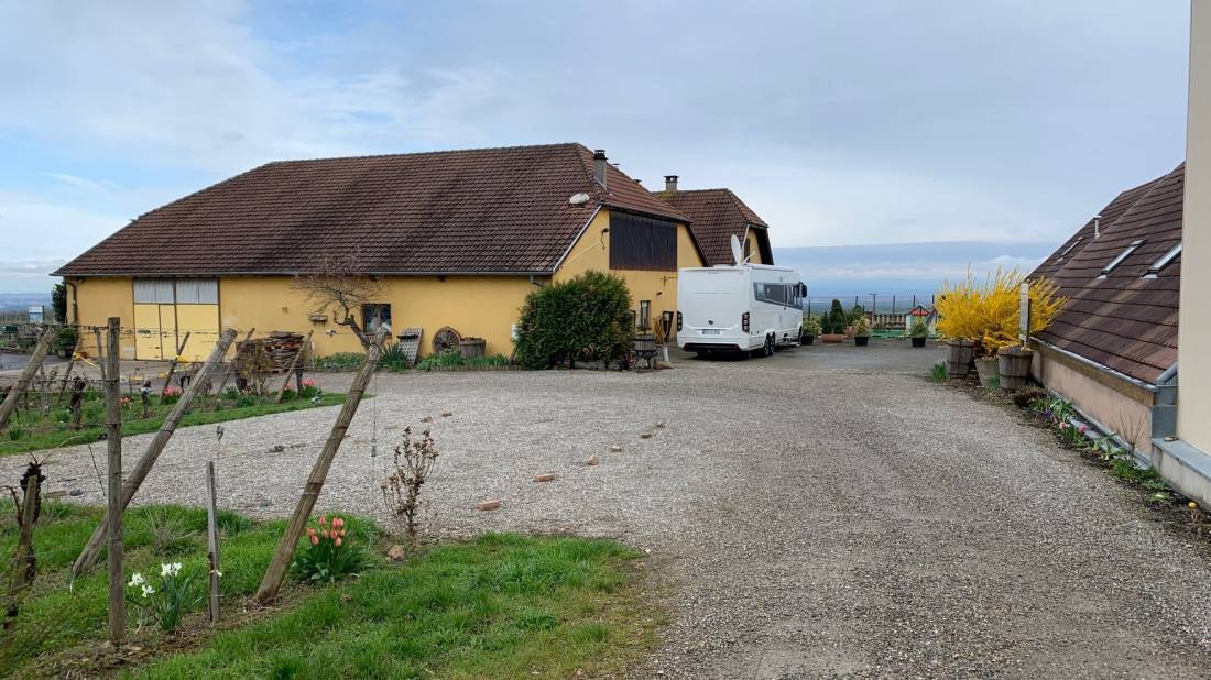 Denis Meyer Weingut — Lagar in Vœgtlinshoffen