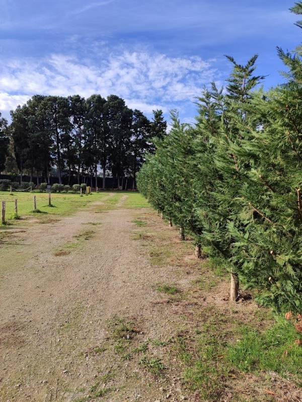 Justyna Parking — Photo 2