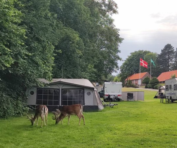 Veijle City Camping